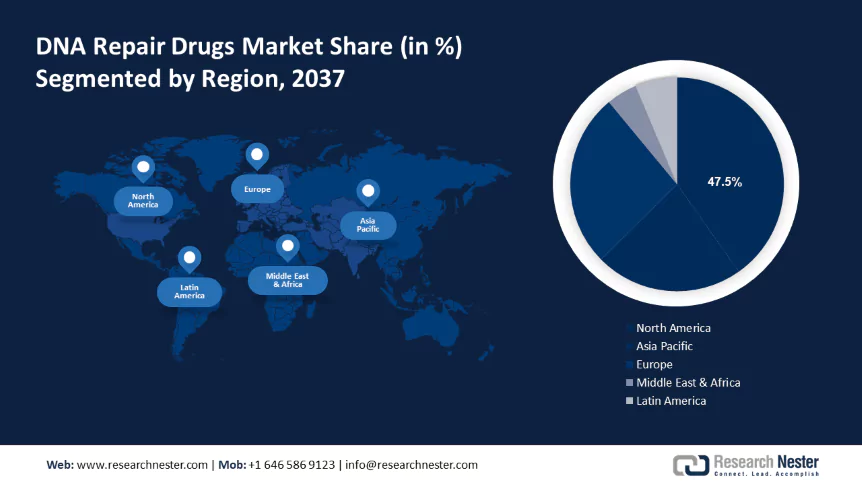 DNA Repair Drugs Market Size